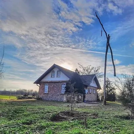 Tetrebov Salas In The Peaceful Fields Futog