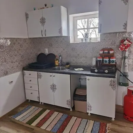 Holiday home Tetrebov Salas In The Peaceful Fields Futog