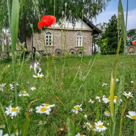 Tetrebov Salas In The Peaceful Fields Holiday home Futog