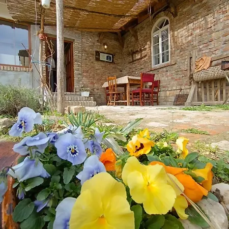 Tetrebov Salas In The Peaceful Fields