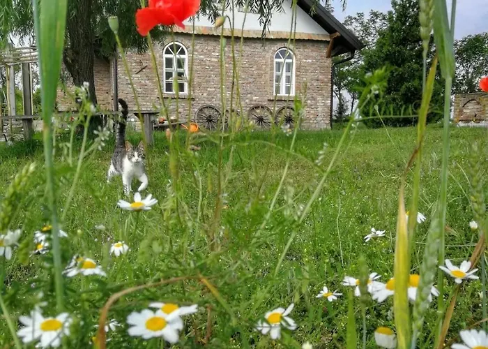 Tetrebov Salas In The Peaceful Fields 펜션 Futog