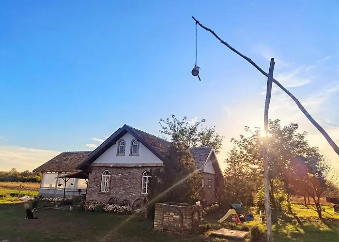 Tetrebov Salas In The Peaceful Fields *