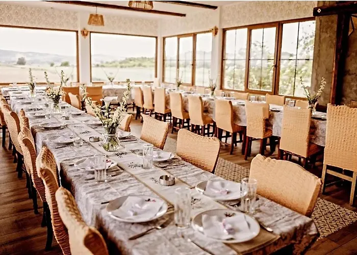 Tetrebov Salas In The Peaceful Fields Futog