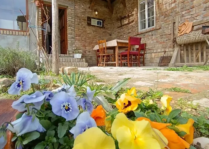 Tetrebov Salas In The Peaceful Fields